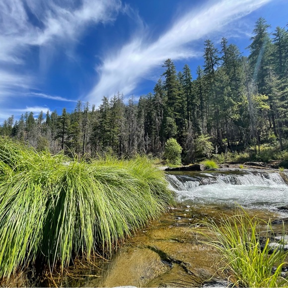 Meet your Posher, Shaheen - Picture 14 of 16